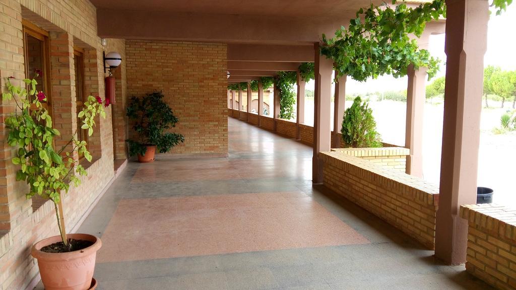 Hotel-Motel Sol II Requena Bilik gambar